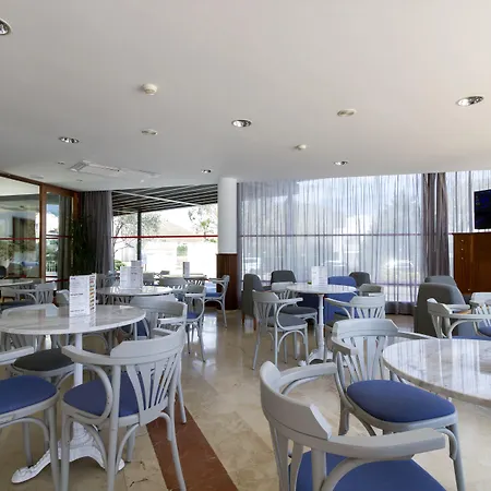 Duvabitat Puerto Pollensa