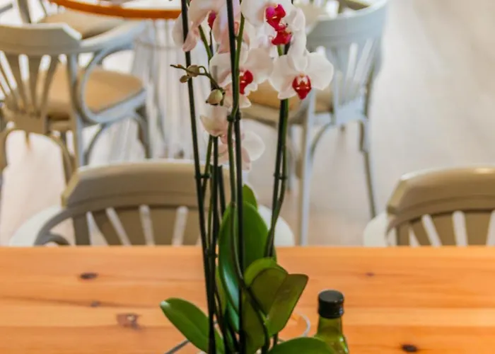 Apart-hotel Duvabitat 4*