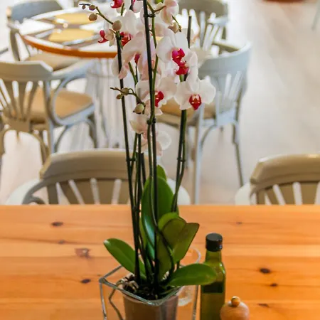 Aparthotel Duvabitat 4*